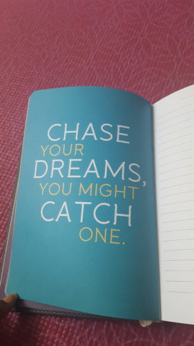 Chase your dreams, you might catch one